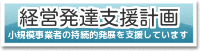 経営発達支援計画